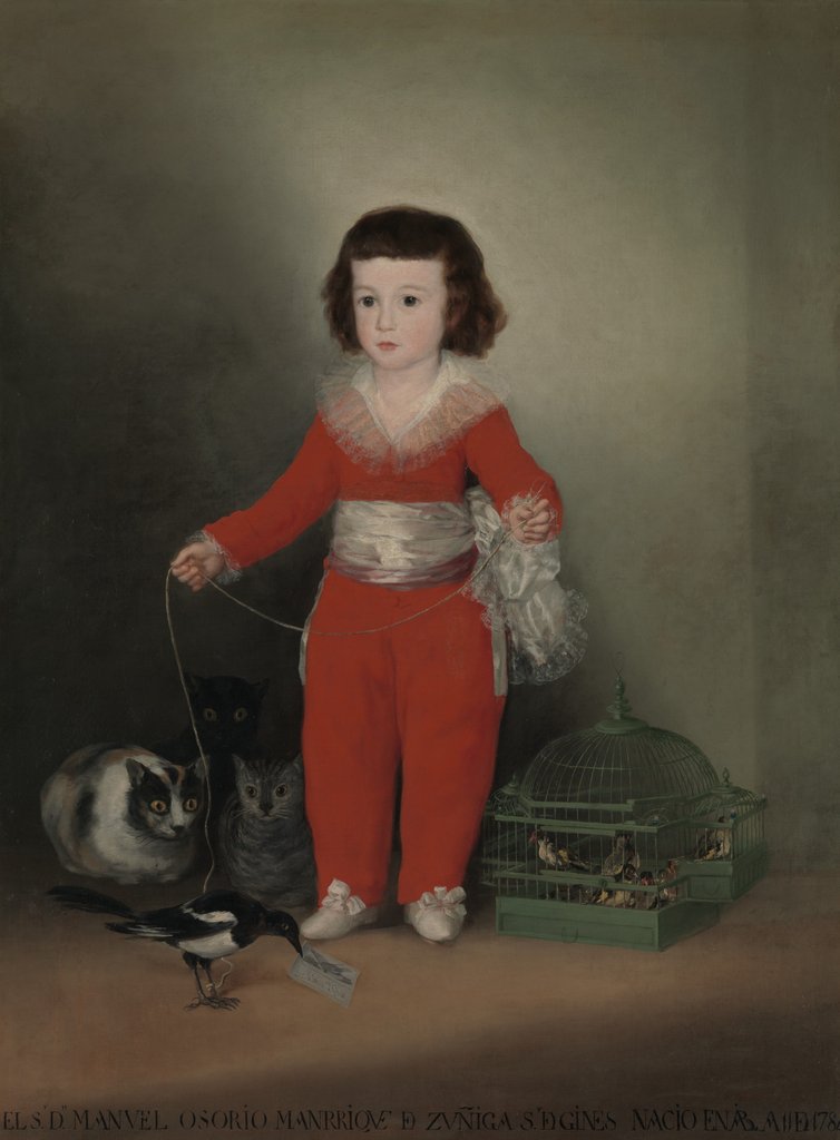 Detail of Manuel Osorio Manrique de Zuñiga, 1787-88 by Francisco Goya
