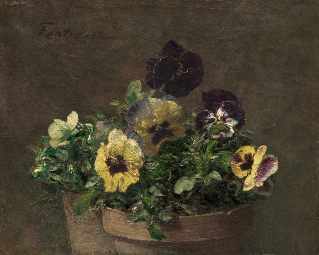 Detail of Potted Pansies, 1883 by Henri Fantin-Latour