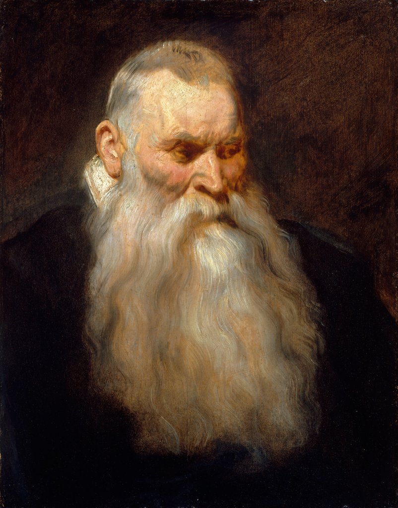 Detail of Study Head of an Old Man with a White Beard, ca. 1617-20 by Anthony van Dyck