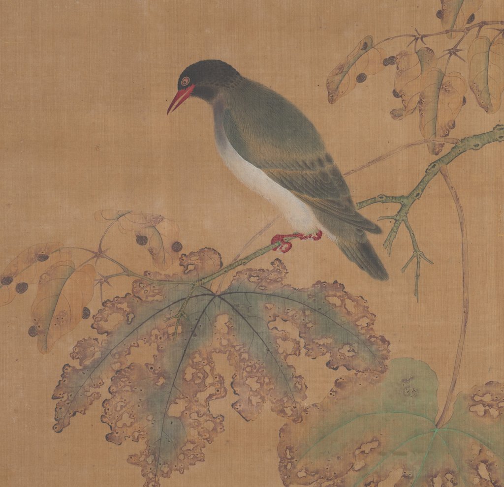 Detail of Bird on Branch by Unknown