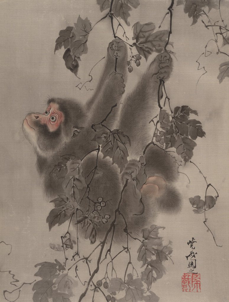 Detail of Monkey Hanging from Grapevines, ca. 1887 by Kawanabe Kyosai