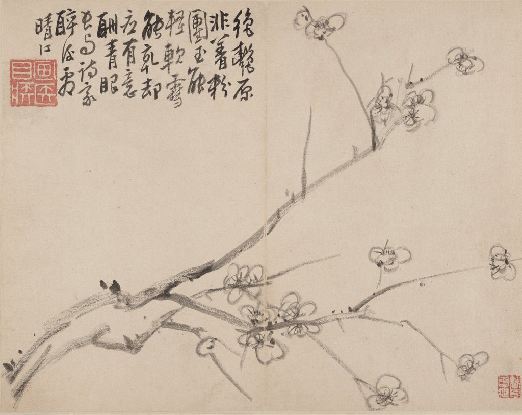 Detail of Album of Blossoming Plum, 1742 by Li Fangying