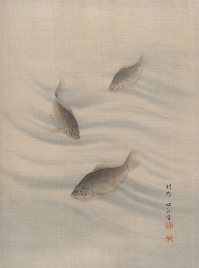 Fishes Swimming, ca. 1890-92 by Seki Shuko