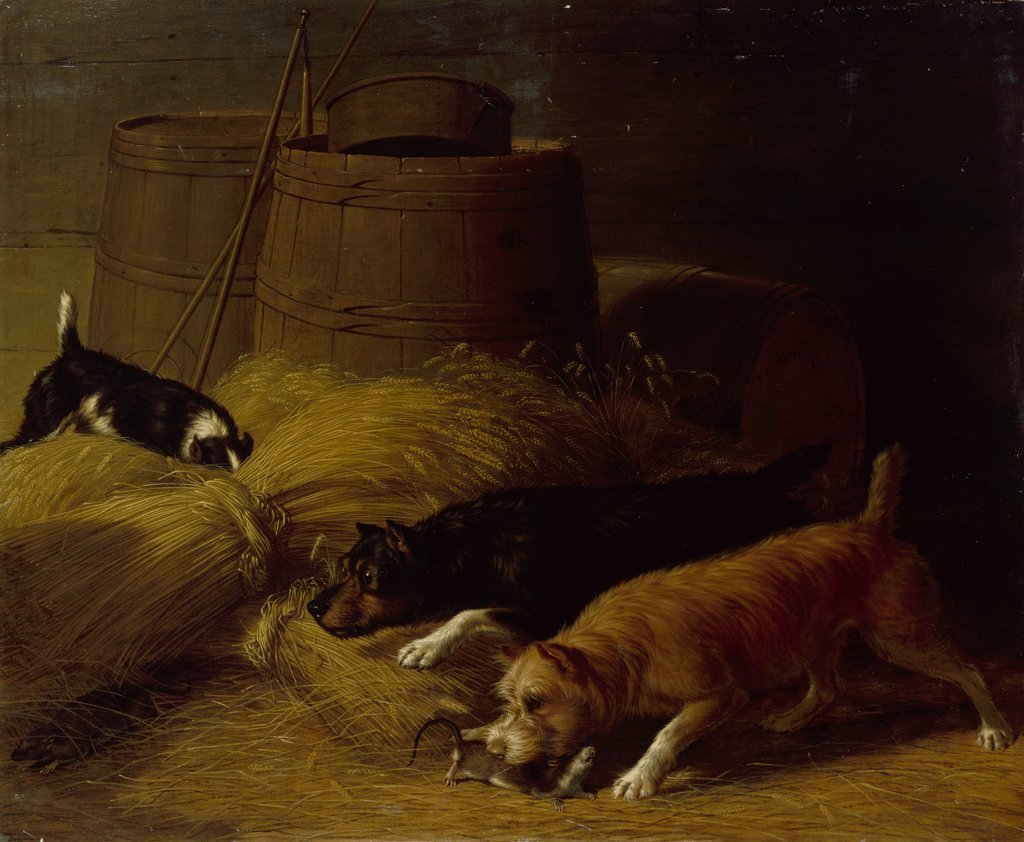 Rats amongst the Barley Sheaves, 1851 by Thomas Hewes Hinckley