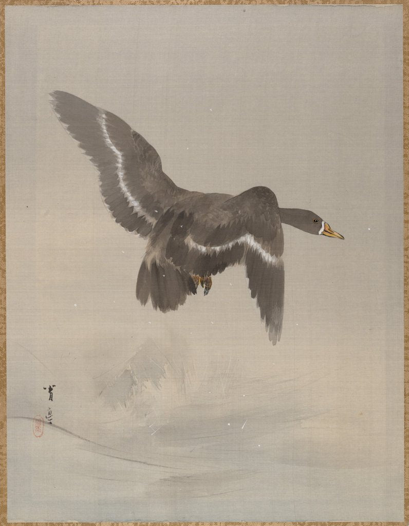Detail of Flying Goose, ca. 1887 by Watanabe Seitei