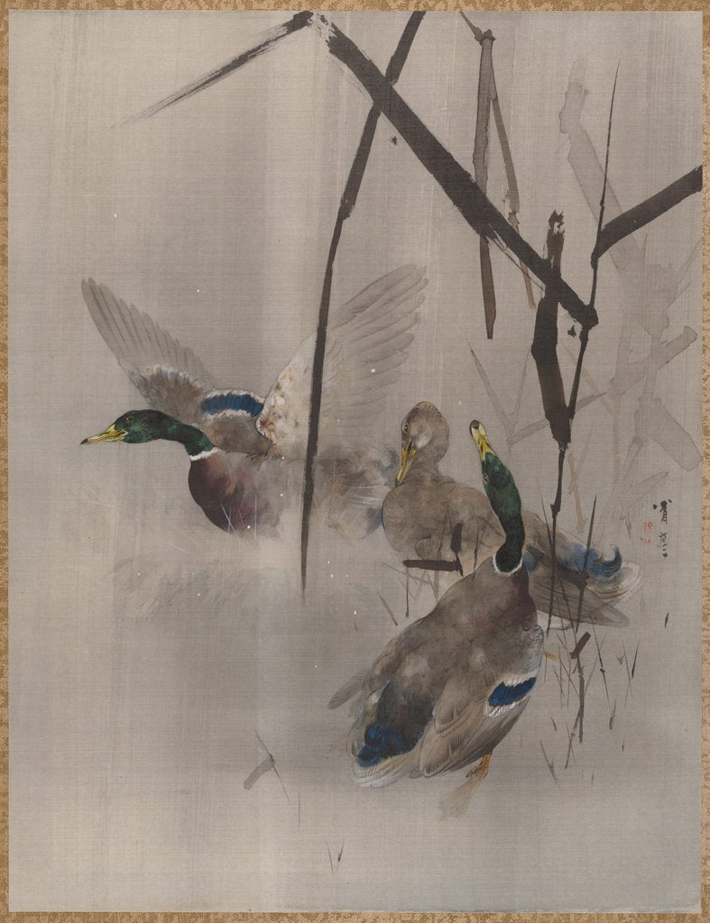 Ducks in the Rushes, ca. 1887 by Watanabe Seitei