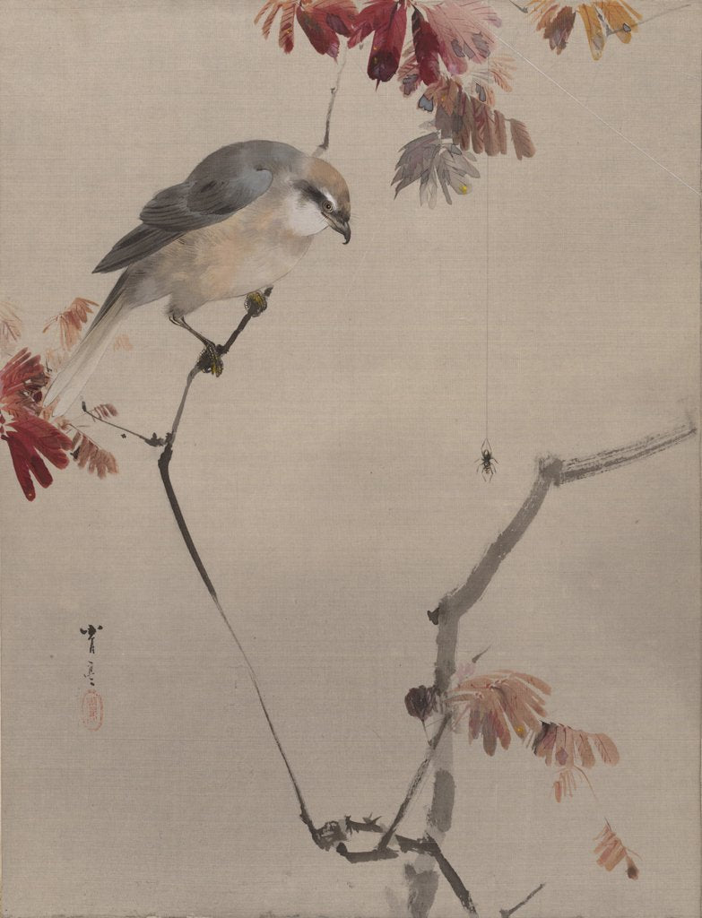 Detail of Bird on Branch Watching Spider, ca. 1887 by Watanabe Seitei