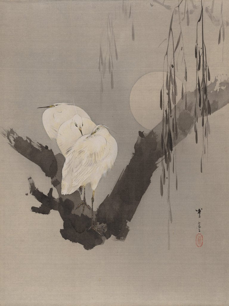 Detail of Egrets in a Tree at Night, ca. 1887 by Watanabe Seitei