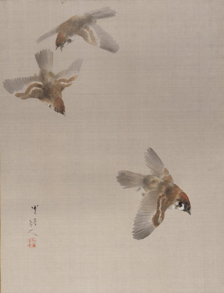 Detail of Sparrows Flying, ca. 1887 by Watanabe Seitei