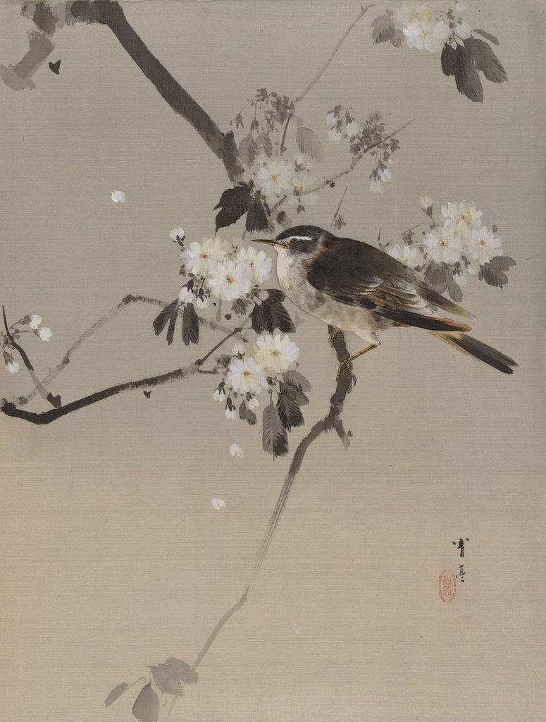 Detail of Birds on a Flowering Branch, ca. 1887 by Watanabe Seitei