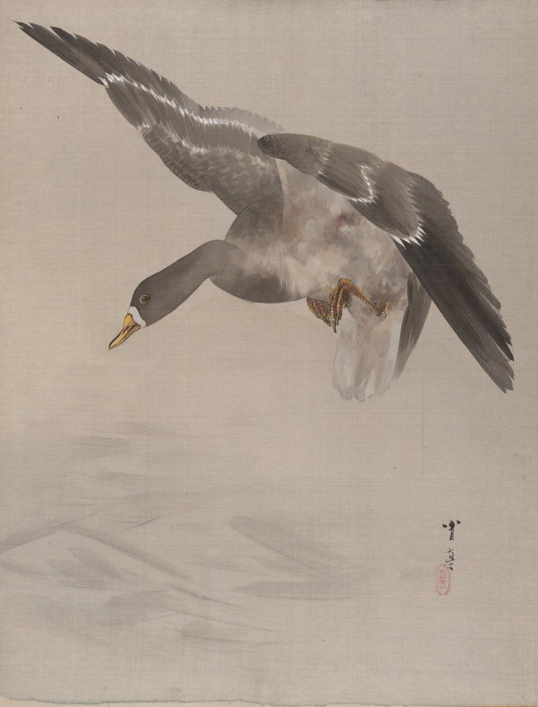 Detail of Duck, ca. 1887 by Watanabe Seitei