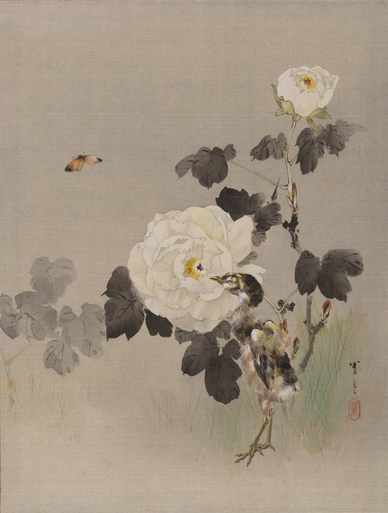 Detail of Roses, Young Bird and a Butterfly, ca. 1887 by Watanabe Seitei