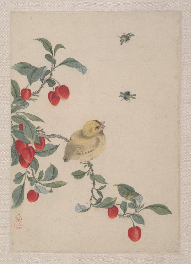 Detail of Birds, Insects and Flowers, 19th century by Yi Zhai