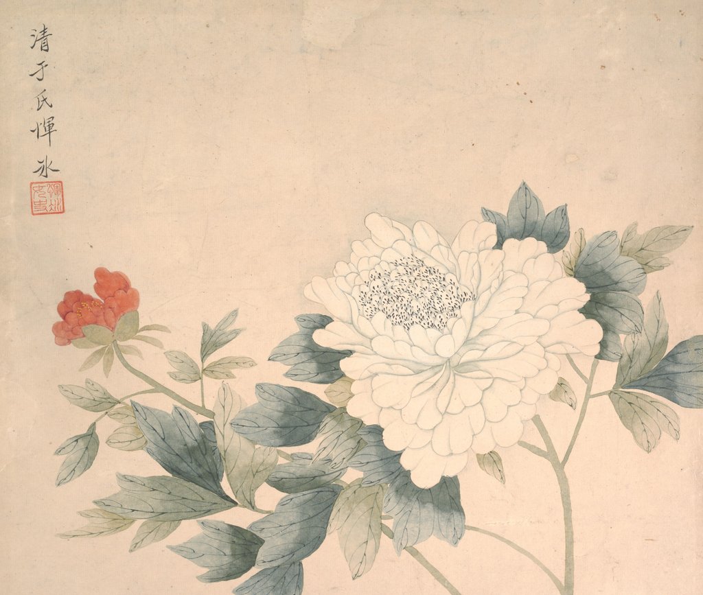 Detail of Flower Study, 17th century by Yun Bing