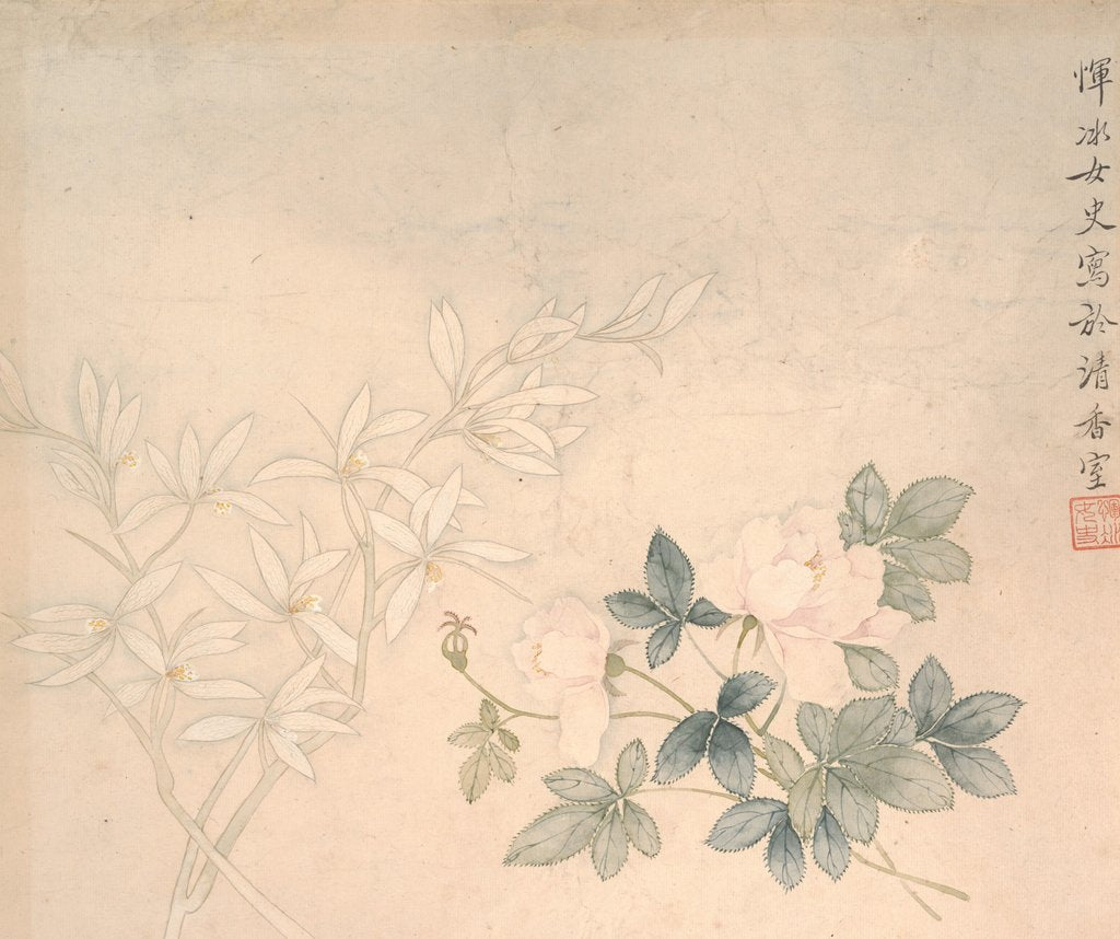 Detail of Flower Study, 17th century by Yun Bing
