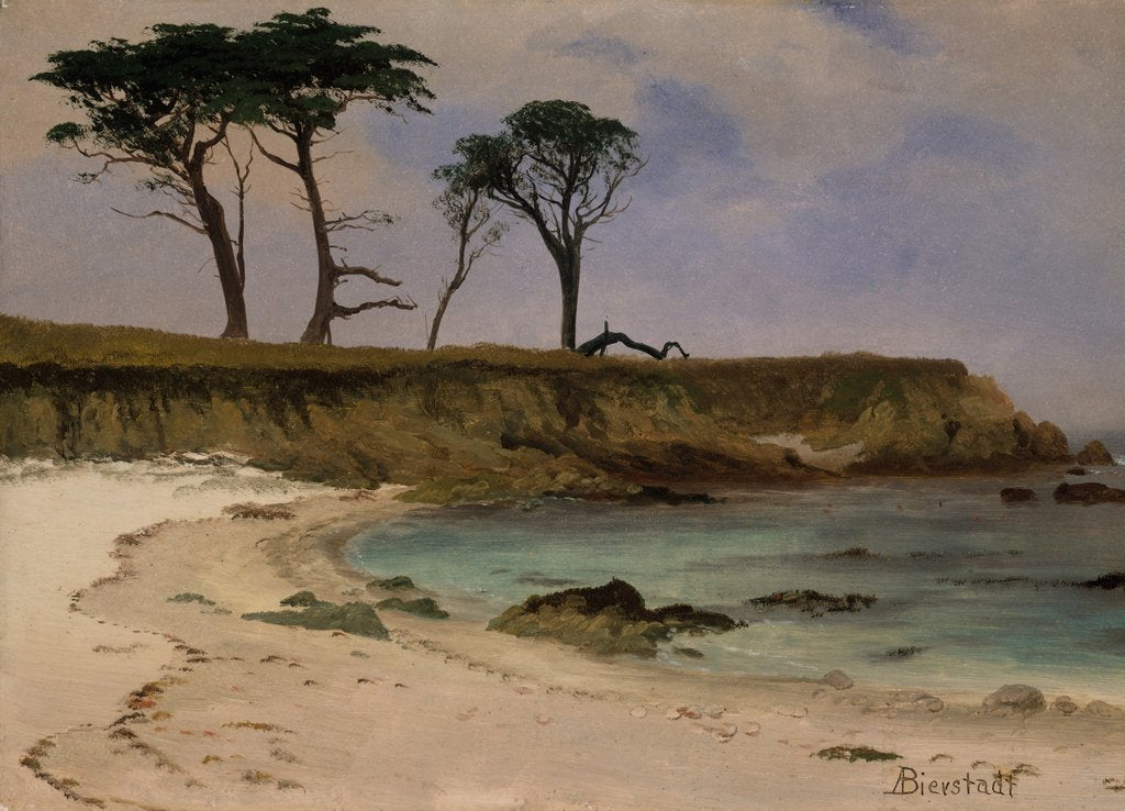 Detail of Sea Cove, ca. 1880-90 by Albert Bierstadt