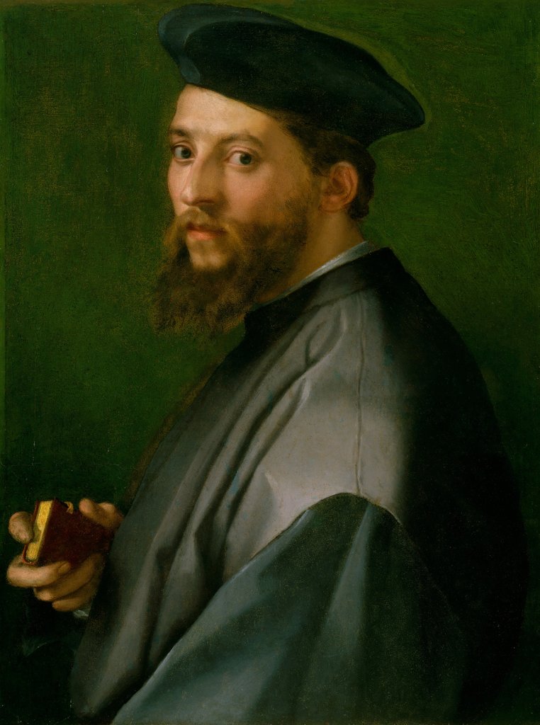 Detail of Portrait of a Man, 1528-30 by Andrea del Sarto