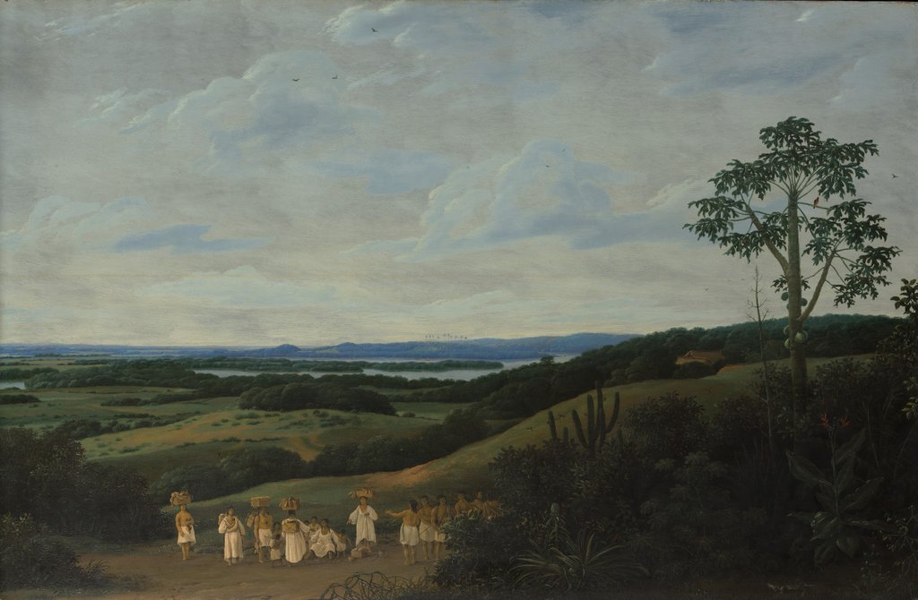 Detail of A Brazilian Landscape, 1650 by Frans Post