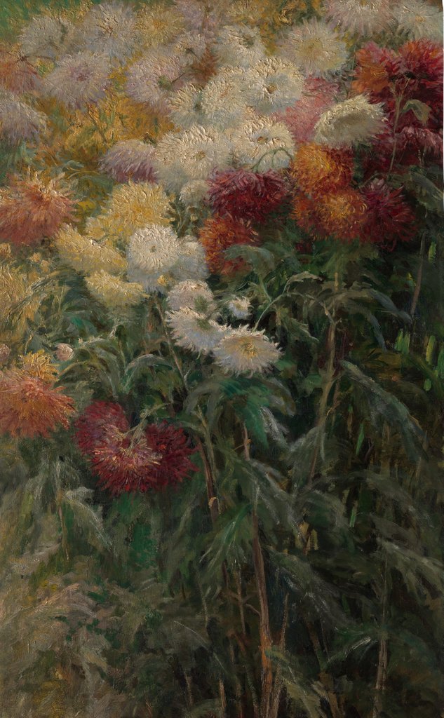 Detail of Chrysanthemums in the Garden at Petit-Gennevilliers, 1893 by Gustave Caillebotte