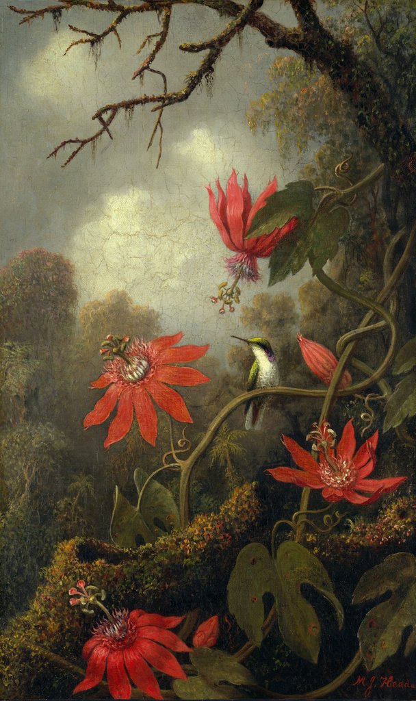 Detail of Hummingbird and Passionflowers, ca. 1875-85 by Martin Johnson Heade