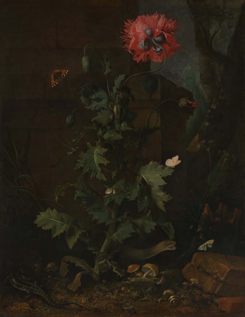 Detail of Still Life with Poppy, Insects, and Reptiles, ca. 1670 by Otto Marseus van Schrieck