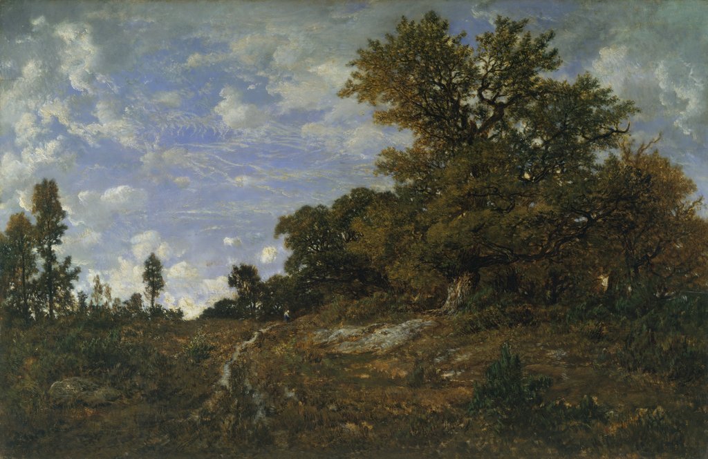 Detail of The Edge of the Woods at Monts-Girard, Fontainebleau Forest, 1852-54 by Theodore Rousseau