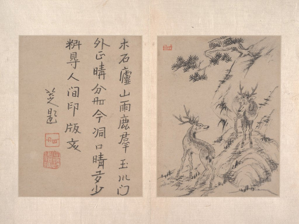 Detail of Album by Bada Shanren