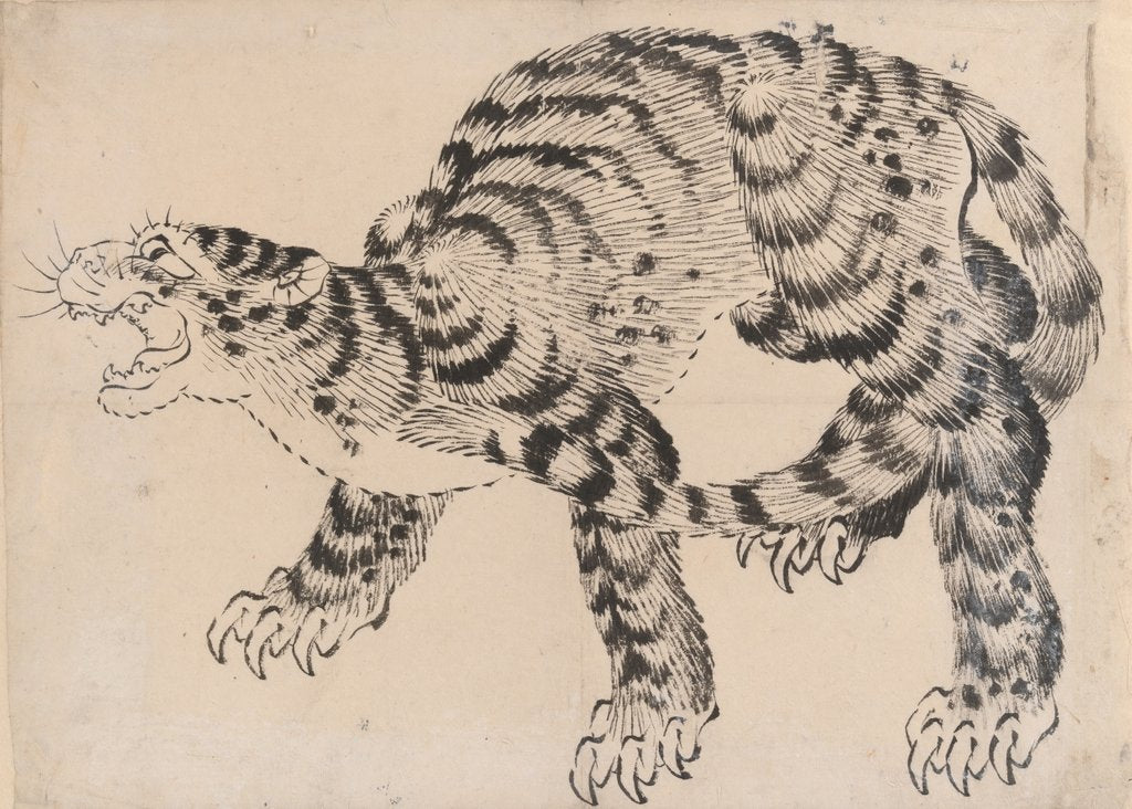 Detail of Tiger, 19th century by Hokusai School