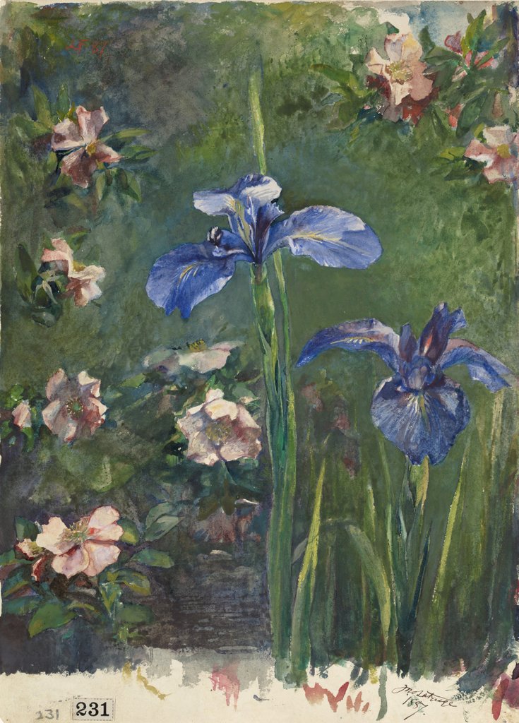 Detail of Wild Roses and Irises, 1887 by John La Farge