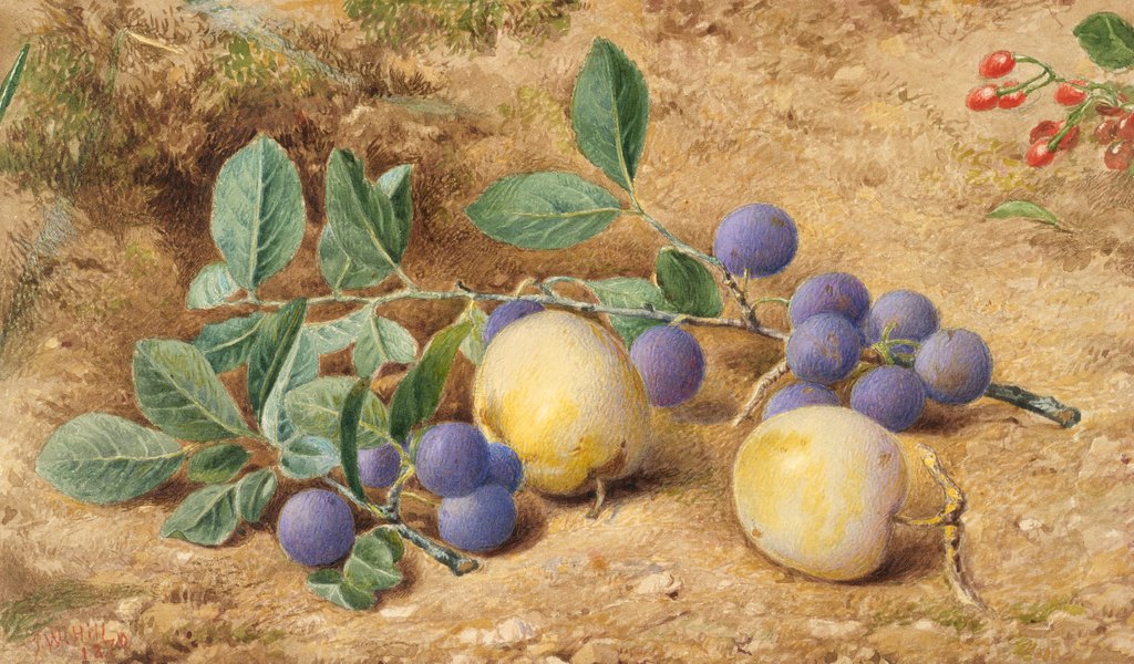 Detail of Plums, 1870 by John William Hill
