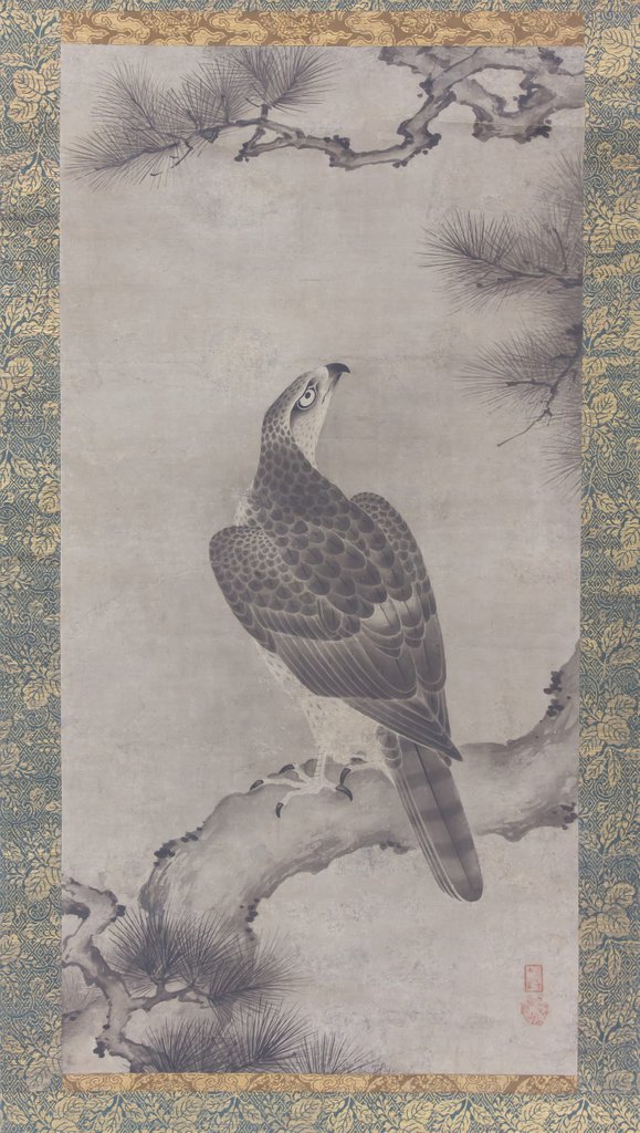 Detail of Hawk on a Pine, 16th century by Kano Yukinobu