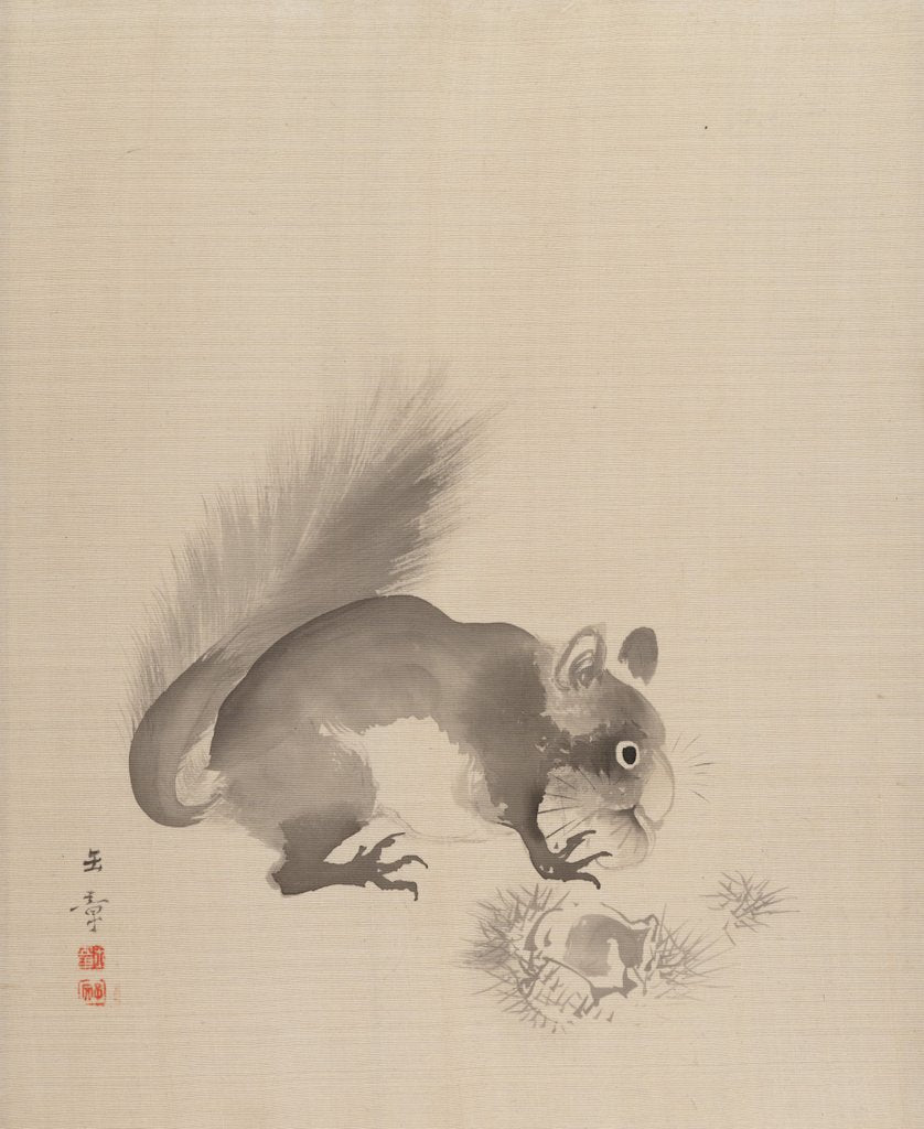 Detail of Squirrel Eating Chestnuts, 1887-92 by Gyokusho Kawabata