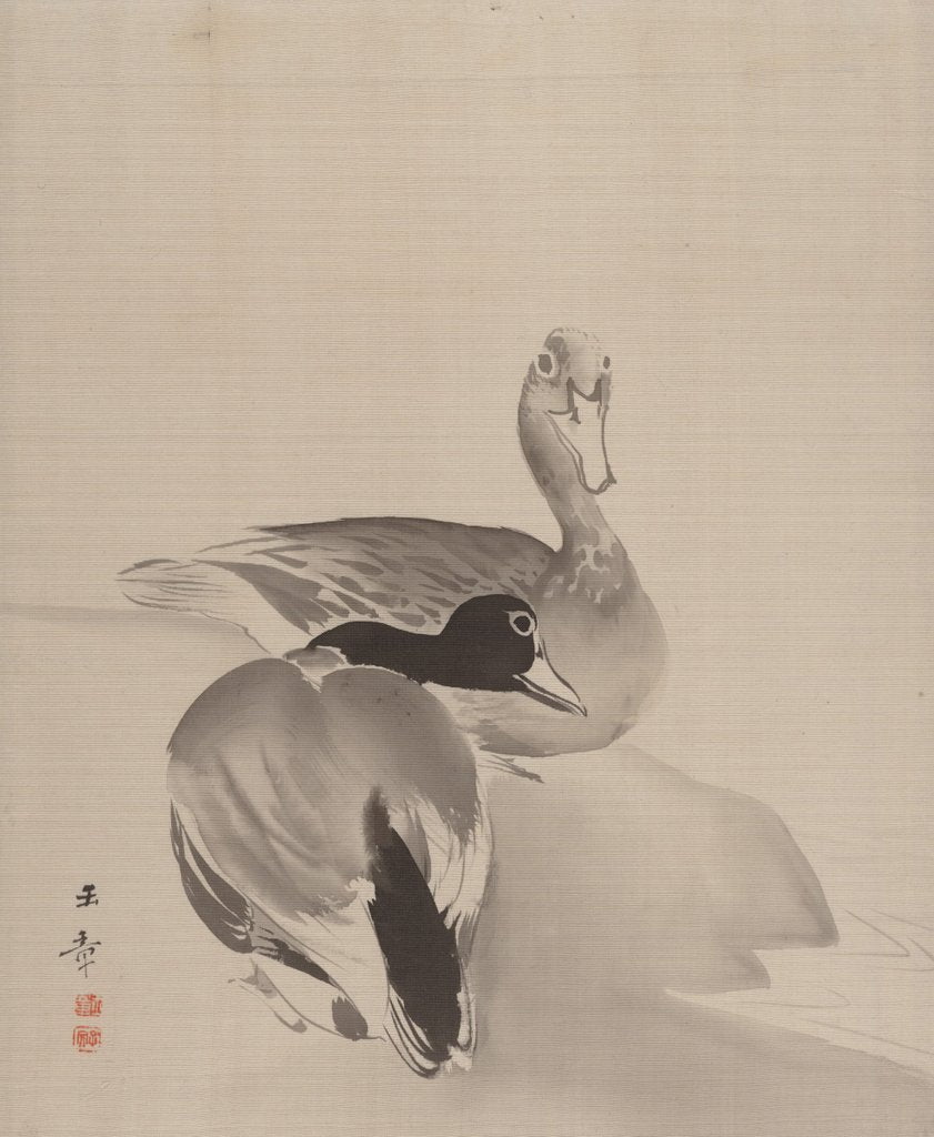 Detail of Pair of Ducks, 1887-92 by Gyokusho Kawabata