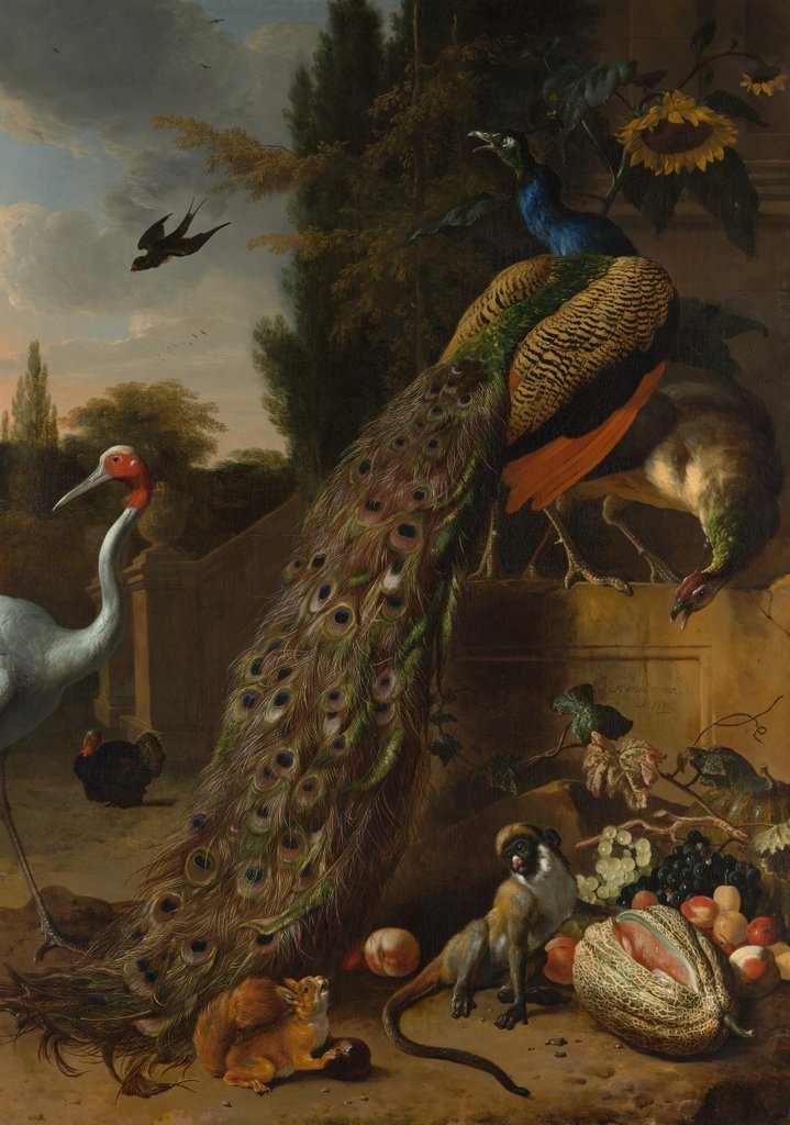 Detail of Peacocks, 1683 by Melchior d'Hondecoeter