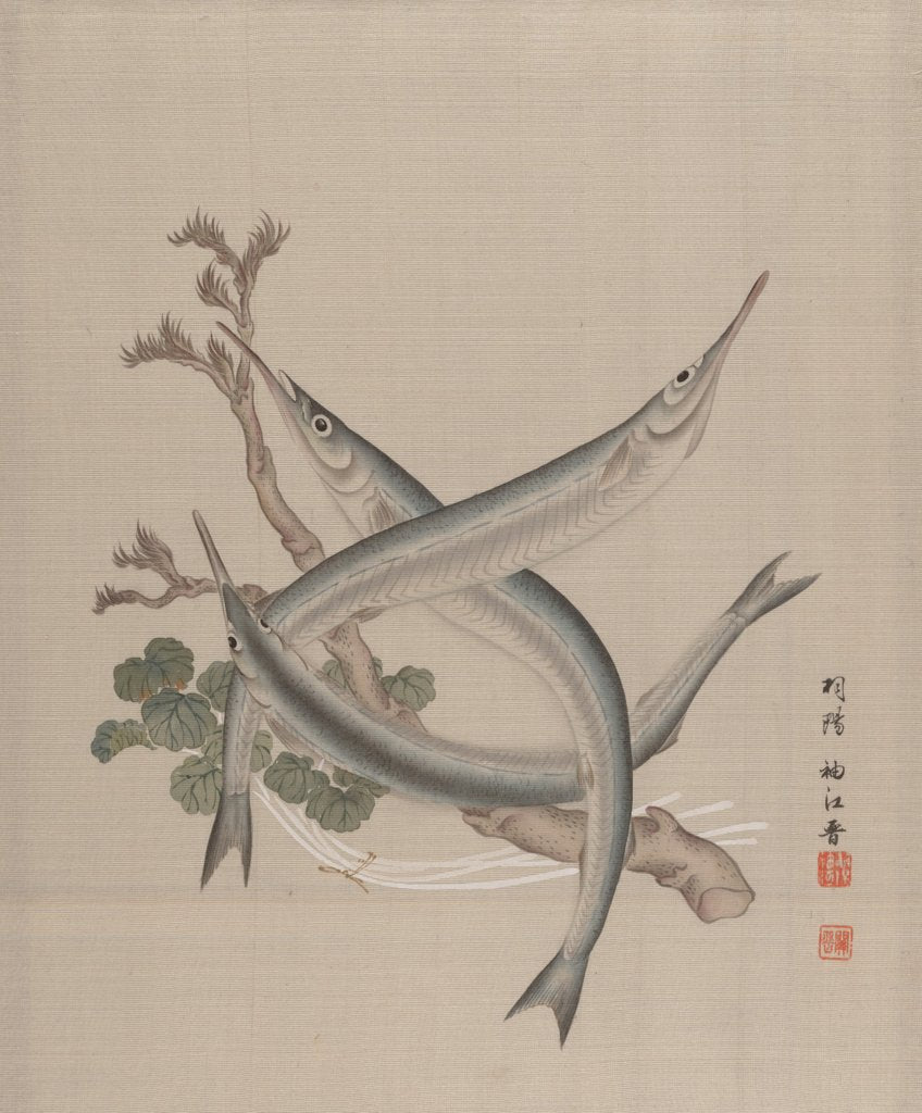 Detail of Three Fishes and a Branch, ca. 1890-92 by Seki Shuko