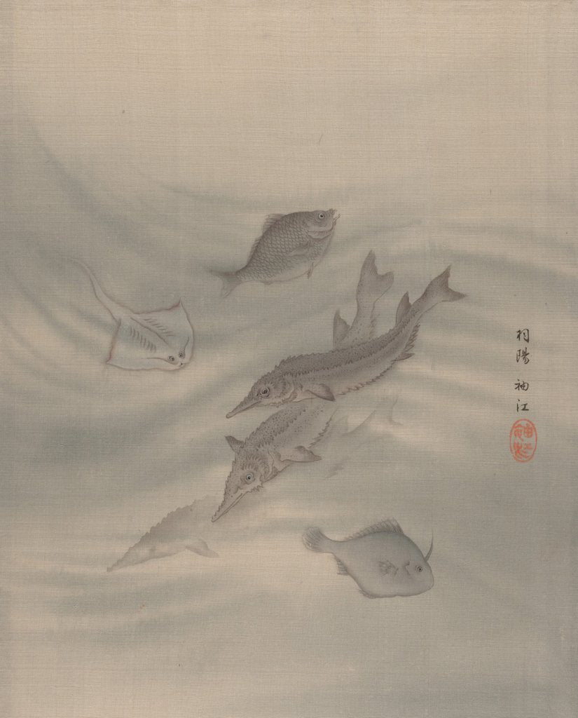 Detail of Fishes, ca. 1890-92 by Seki Shuko