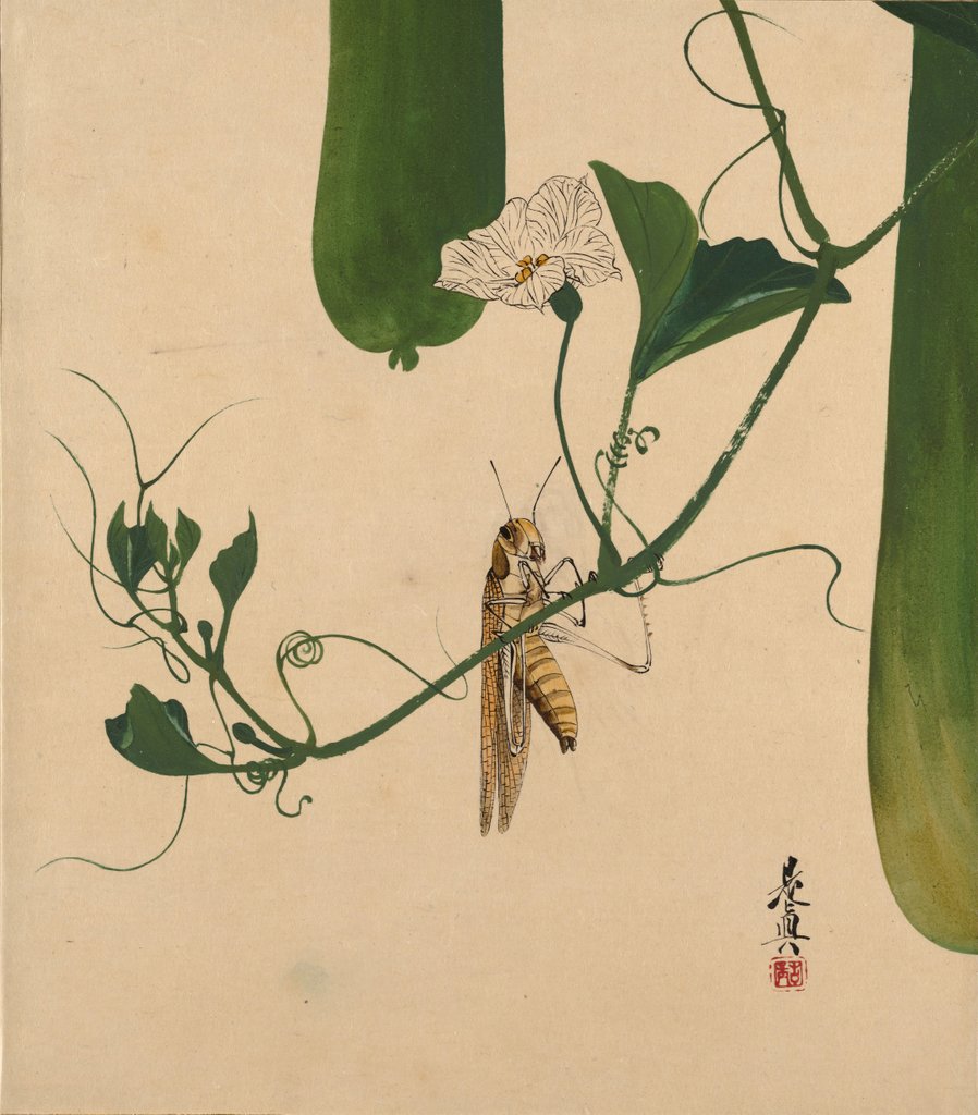 Detail of Lacquer Paintings of Various Subjects: Grasshopper on Gourd Vine, 1882 by Shibata Zeshin