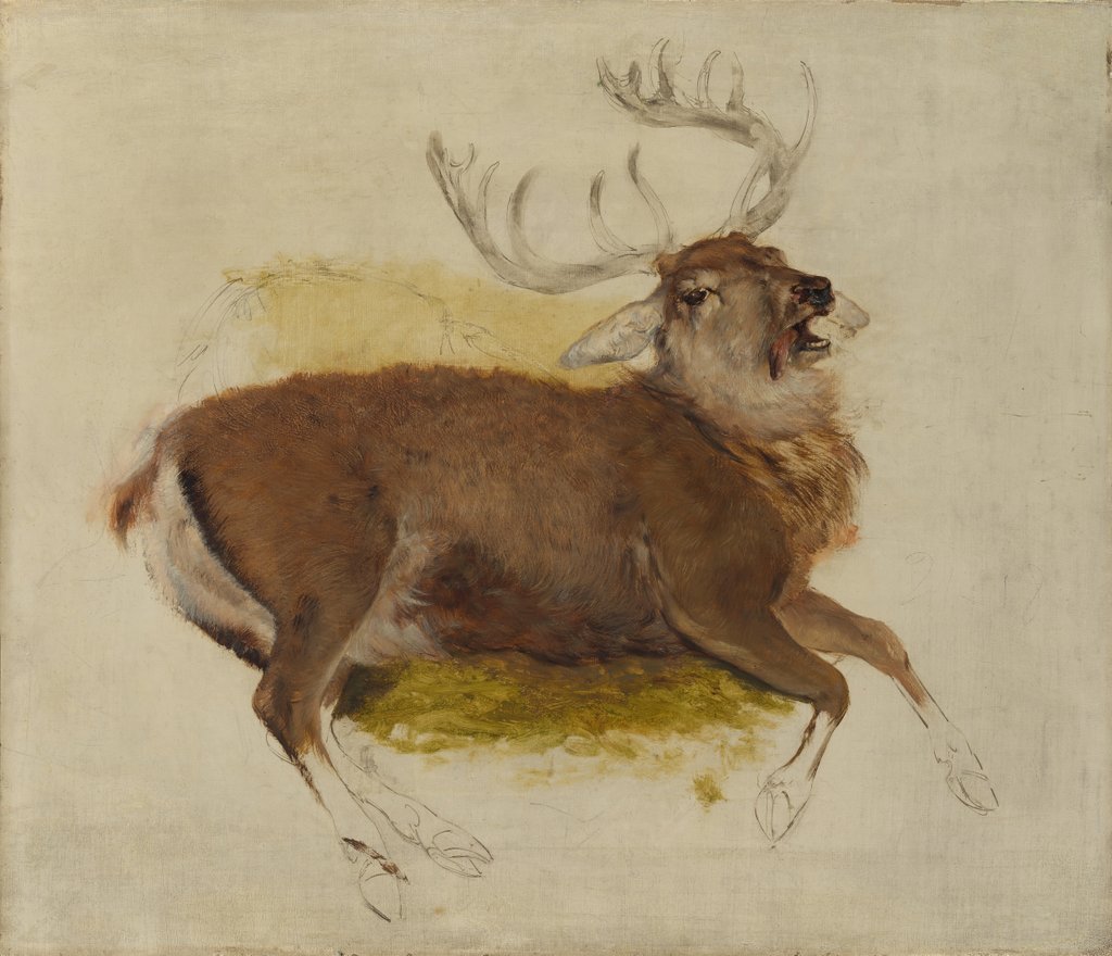 Detail of Dying Stag, ca. 1830 by Edwin Henry Landseer