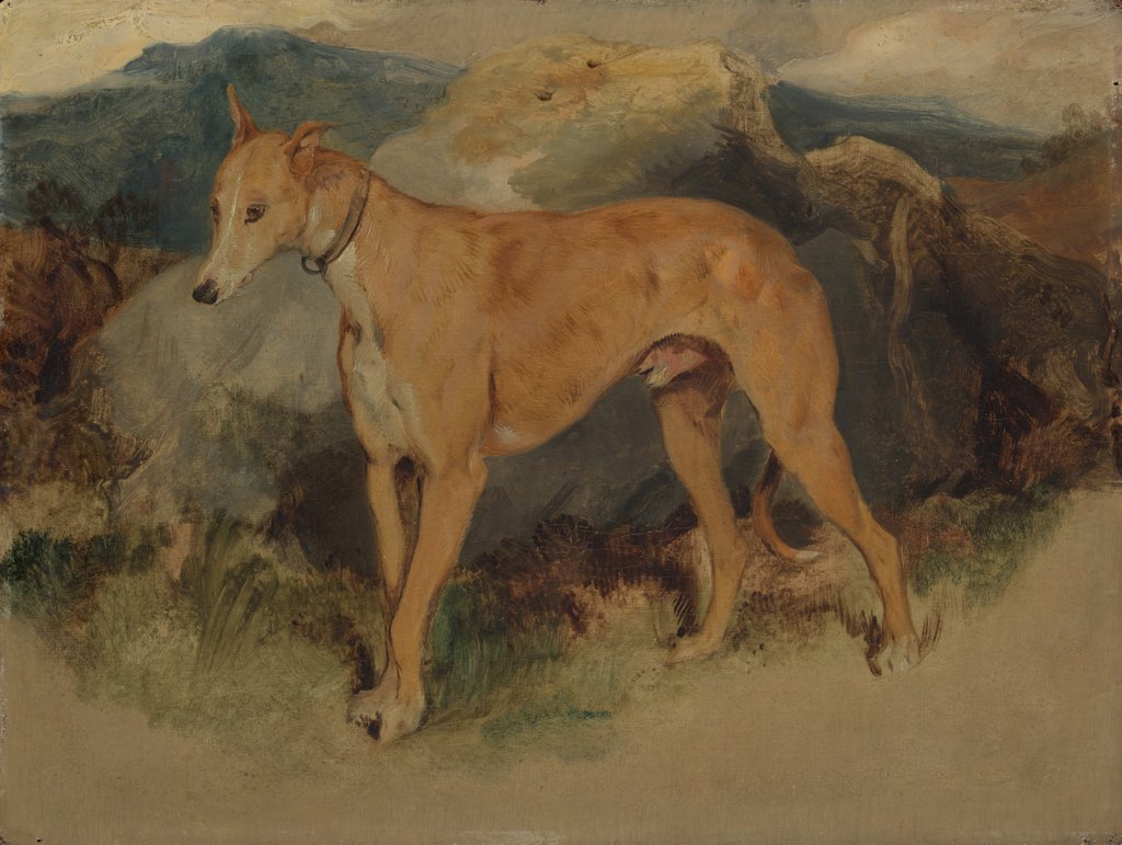 Detail of A Deerhound, 1826 by Edwin Henry Landseer