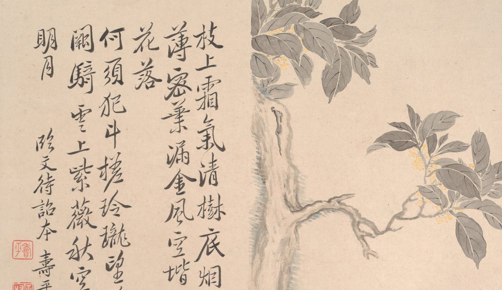 Detail of Cassia Tree by Unknown
