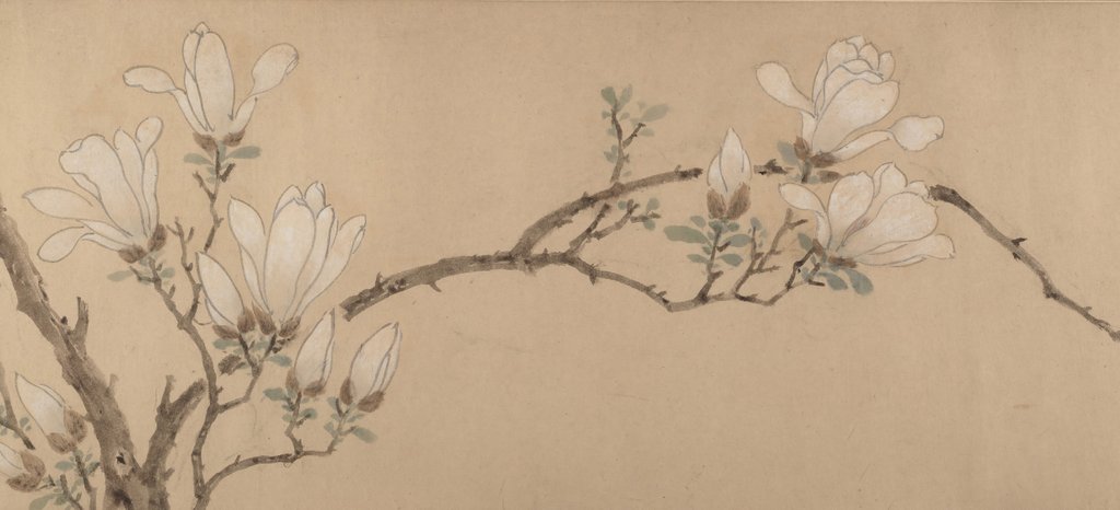 Detail of Magnolia, dated 1549 by Unknown