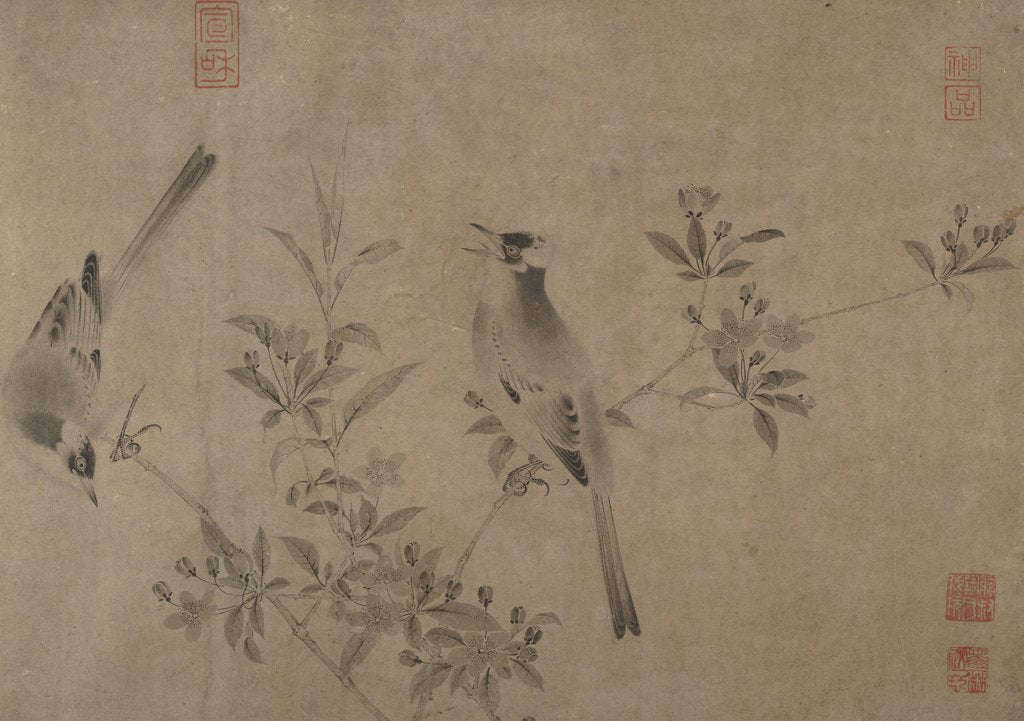 Detail of Chinese Bulbuls on Flowering Cherry-Apple by Unknown