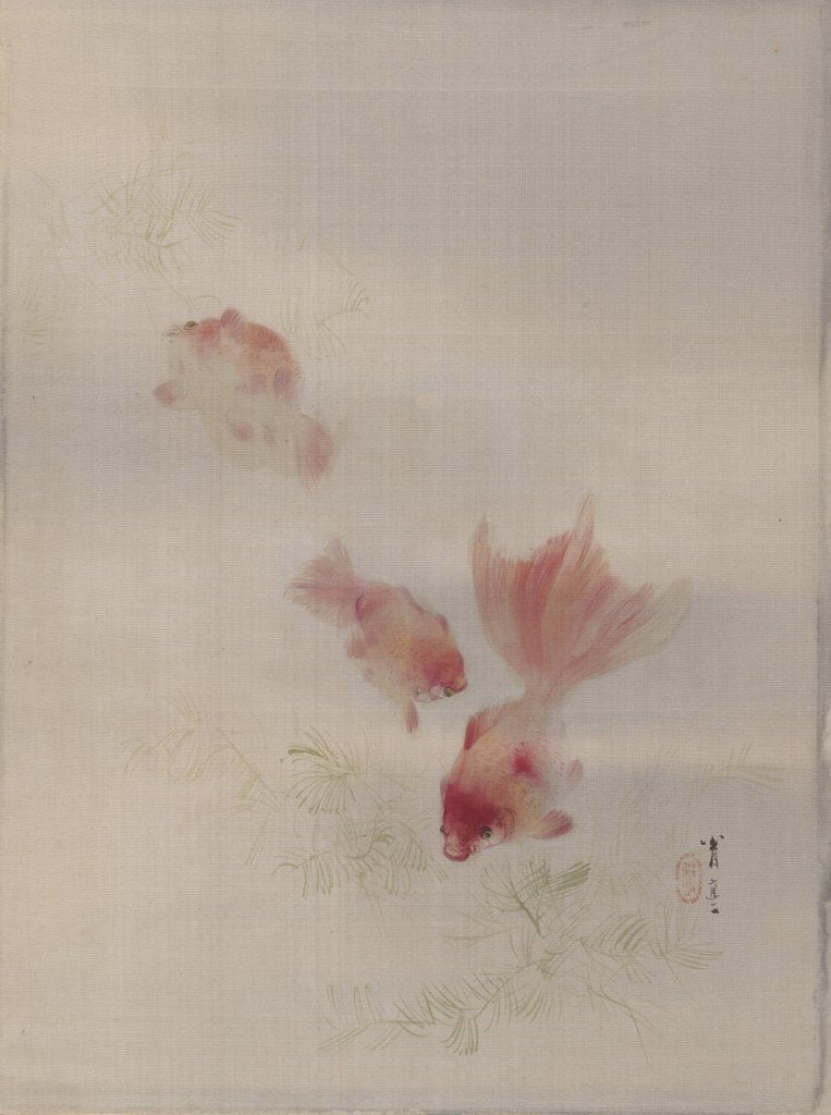 Detail of Goldfish, ca. 1887 by Watanabe Seitei