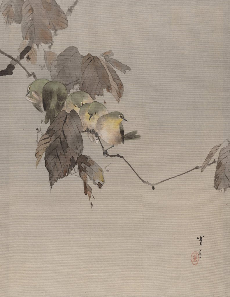 Detail of Birds on a Branch, ca. 1887 by Watanabe Seitei