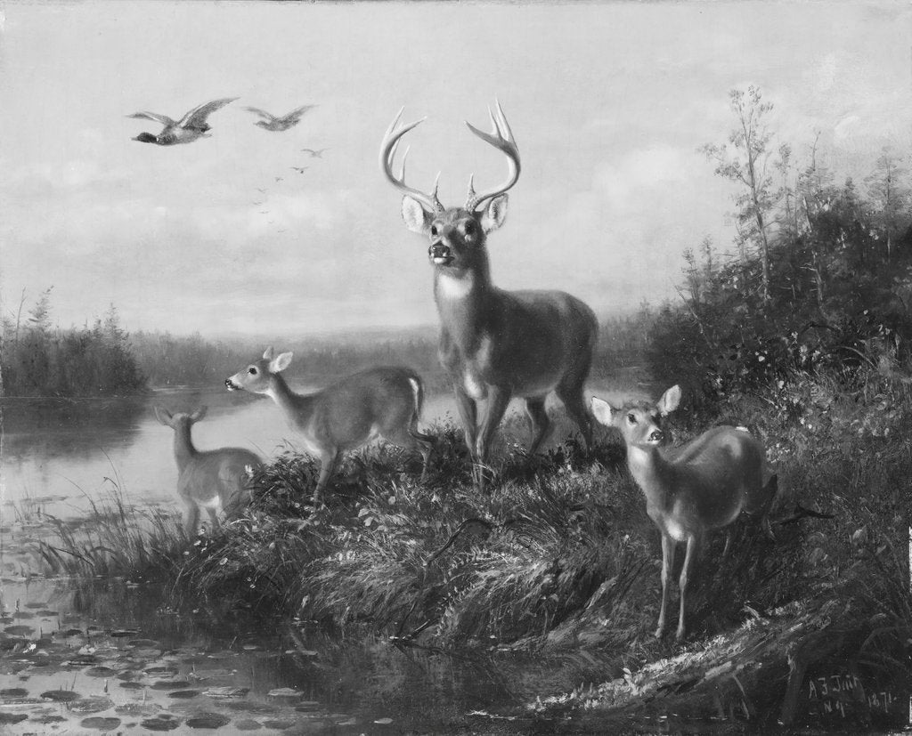 Detail of On the Qui Vive, Buck and Three Does, 1871 by Arthur Fitzwilliam Tait