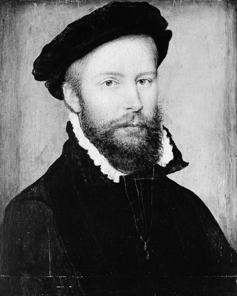 Detail of Portrait of a Man by Corneille de Lyon