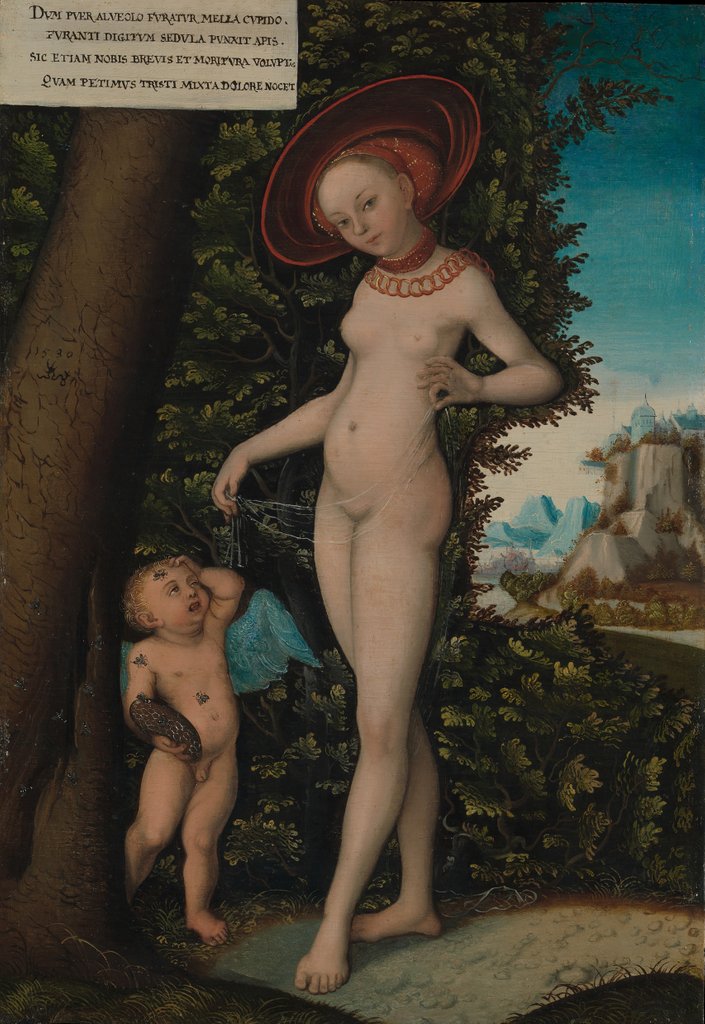 Detail of Venus with Cupid the Honey Thief, ca. 1580-1620 by Lucas Cranach the Elder (copy after)