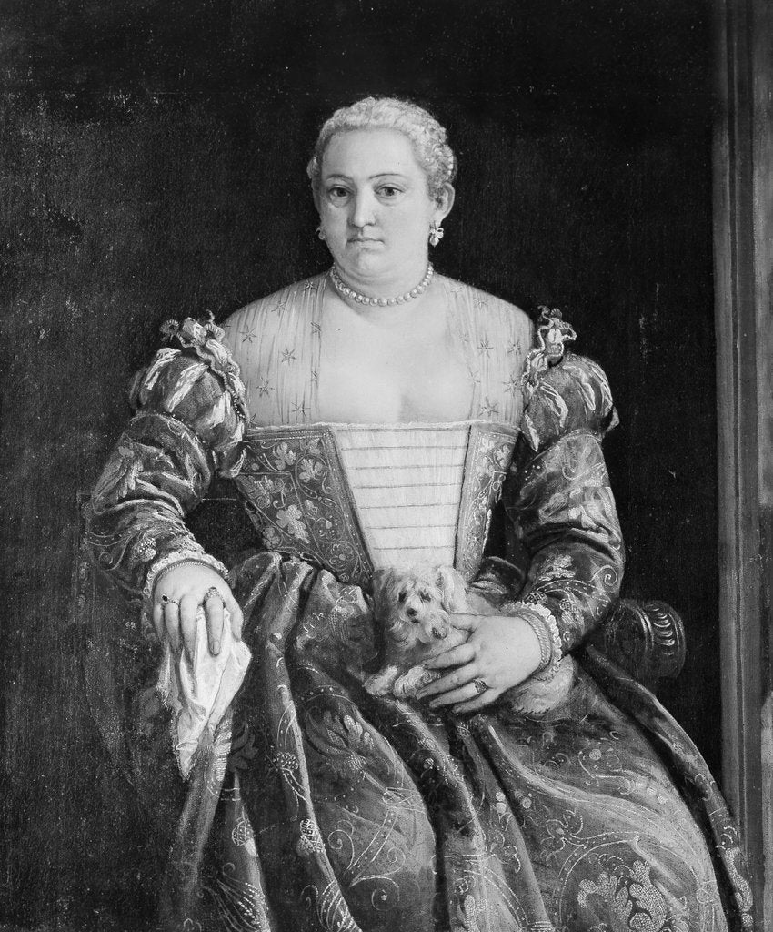 Detail of Portrait of a Woman by Francesco Montemezzano