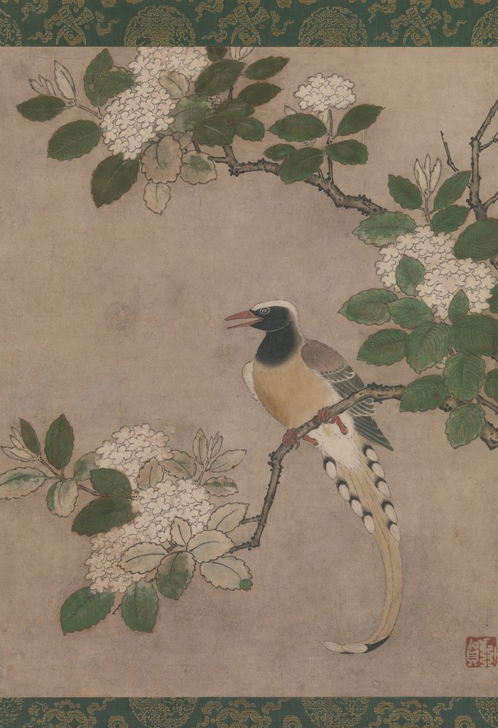 Detail of Magpie on Viburnum Branch, early 16th century by Genga