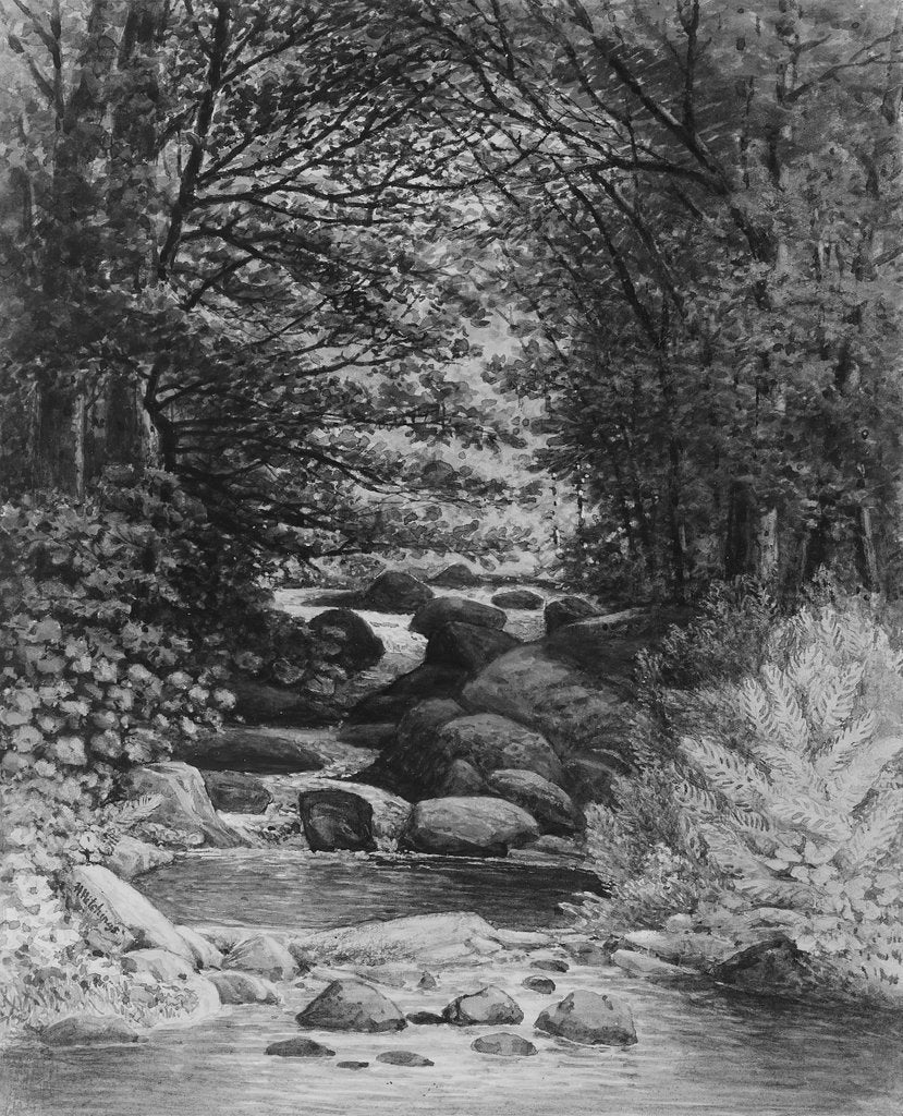 Detail of A Forest Cascade at Hiram, Maine, 1859 by Henry Hitchings